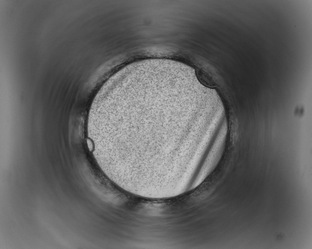 X0000115010071200911231236