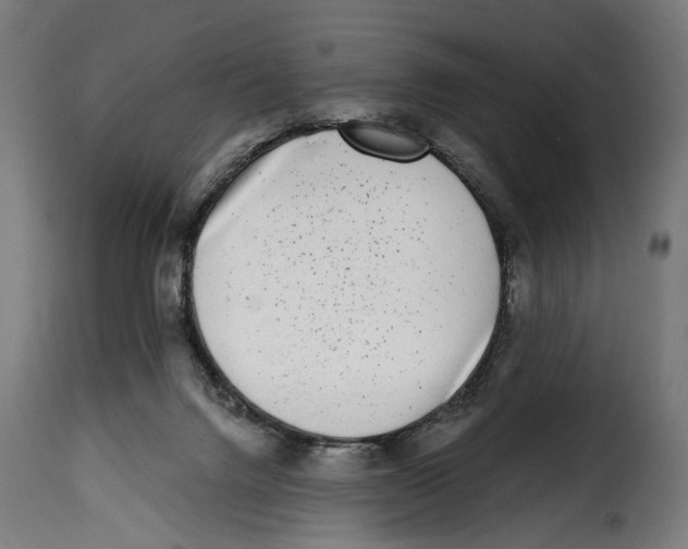 X0000115010072200911231236