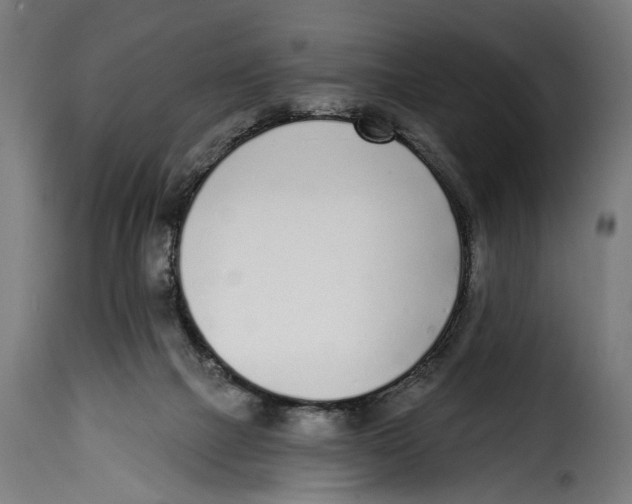 X0000115010073200911231236