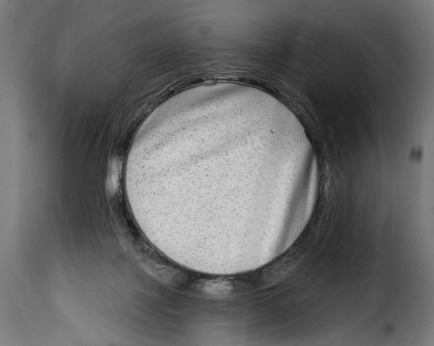 X0000115010075200911231236