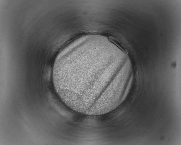 X0000115010076200911231236