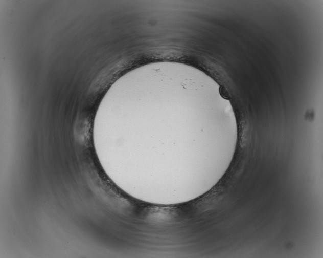 X0000115010077200911231236