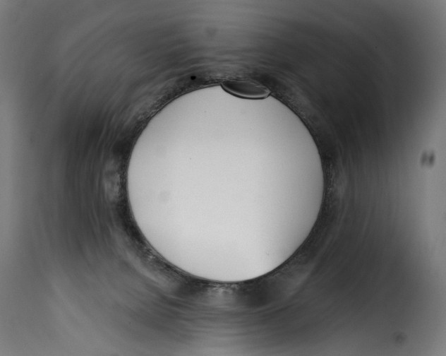 X0000115010080200911231236