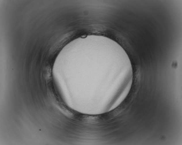 X0000115010081200911231236