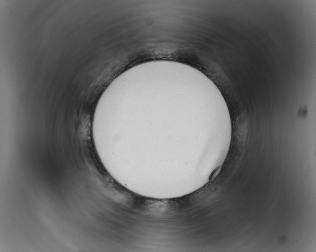 X0000115010083200911231236