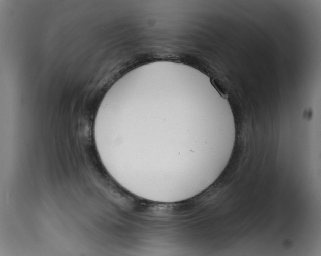 X0000115010084200911231236