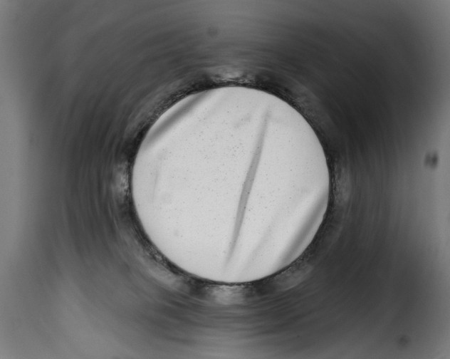 X0000115010085200911231237