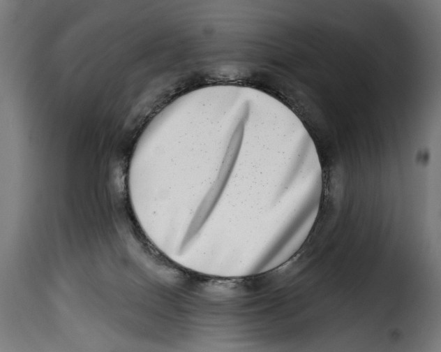 X0000115010086200911231237