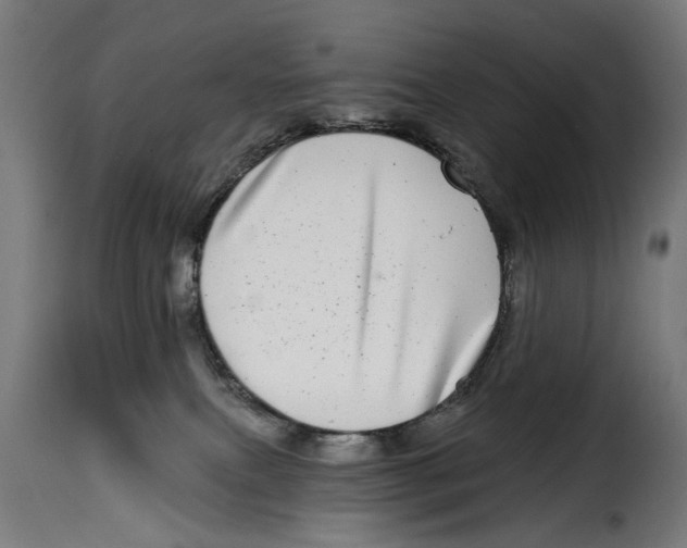X0000115010087200911231237
