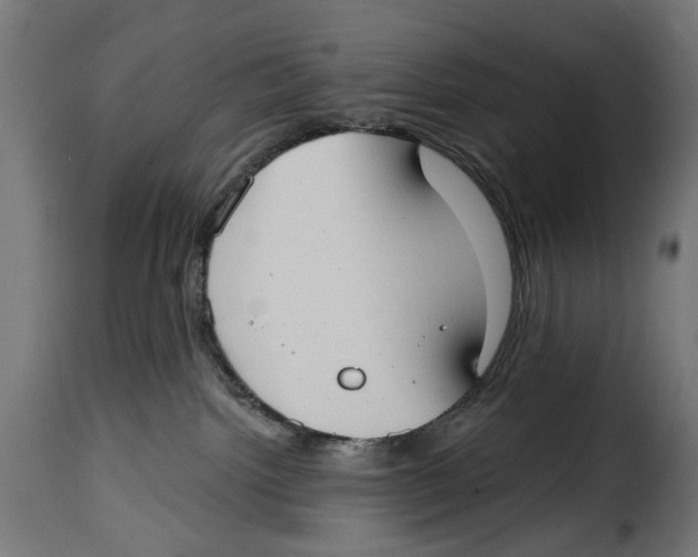 X0000115010092200911231237