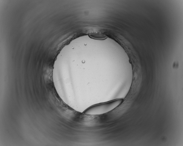 X0000115010096200911231237