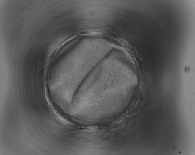 X0000115010097200911231236