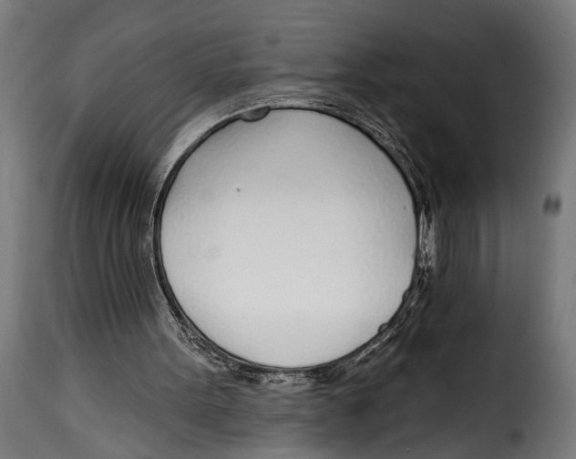 X0000115010099200911231236