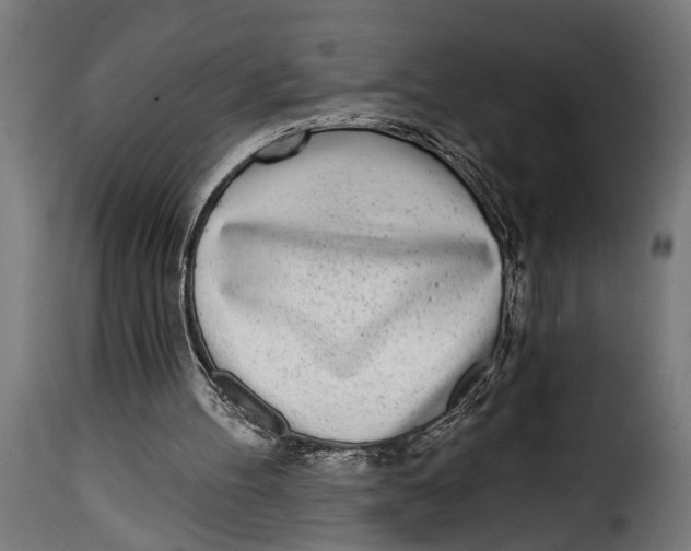 X0000115010100200911231236