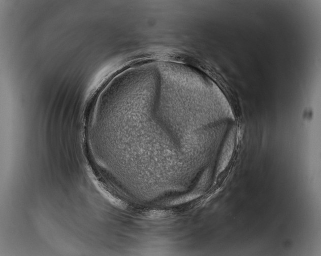 X0000115010101200911231236