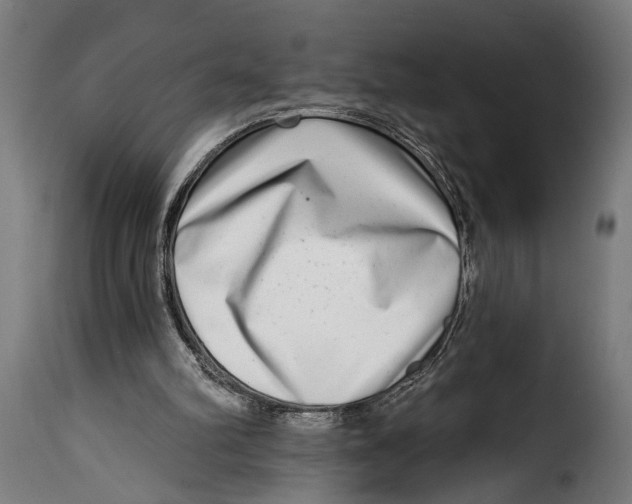 X0000115010102200911231236