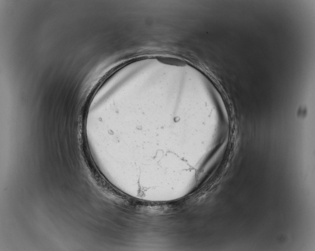 X0000115010103200911231236