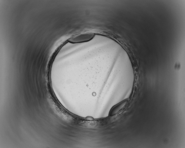 X0000115010104200911231236