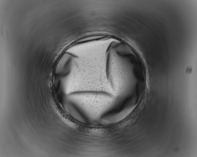 X0000115010105200911231236