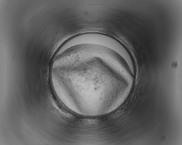X0000115010107200911231236