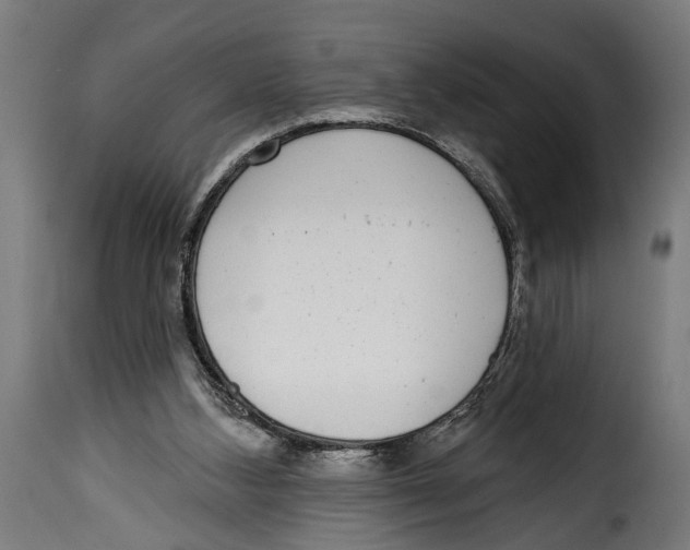 X0000115010108200911231236