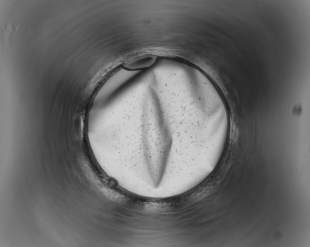 X0000115010109200911231236