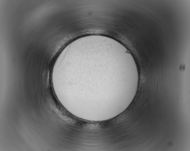 X0000115010110200911231236