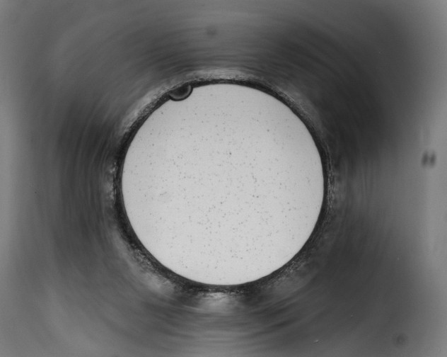 X0000115010111200911231236