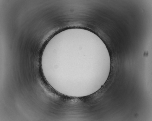 X0000115010112200911231236