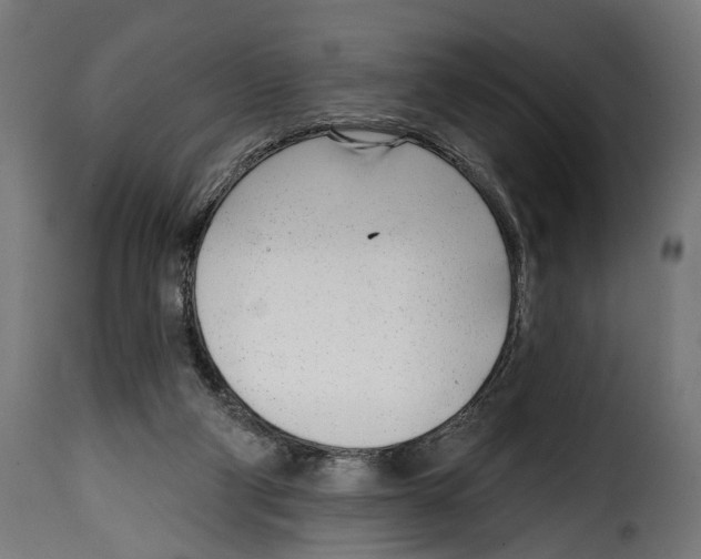 X0000115010114200911231236