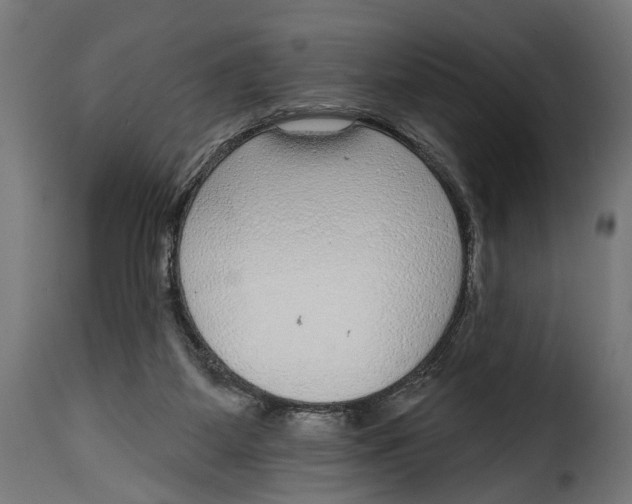 X0000115010115200911231236