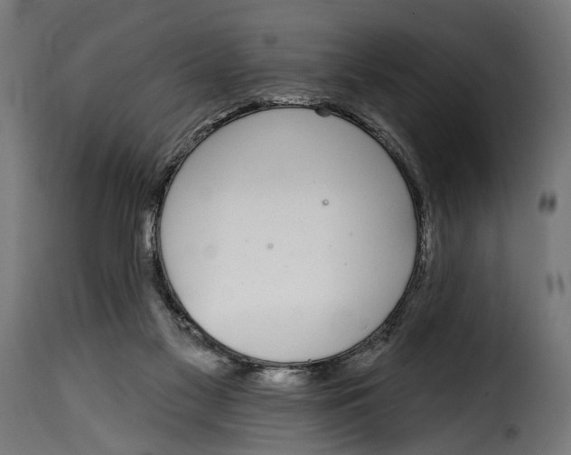 X0000115010117200911231236