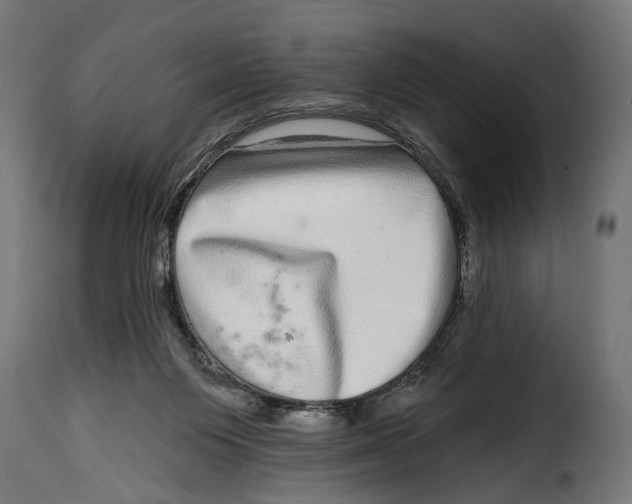 X0000115010119200911231236