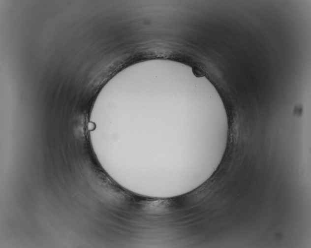 X0000115010122200911231236