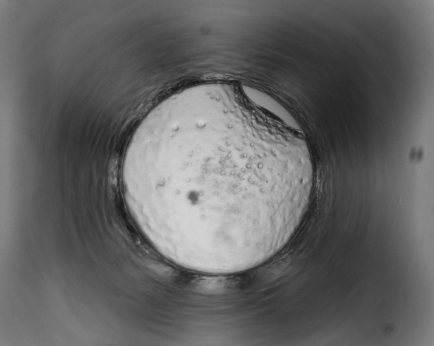 X0000115010127200911231236