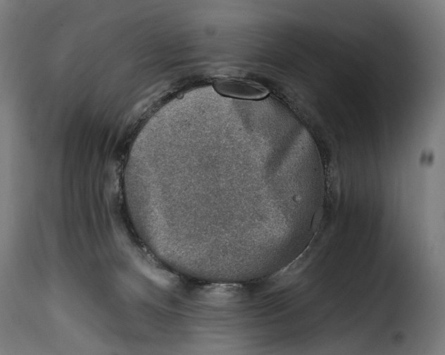 X0000115010128200911231236