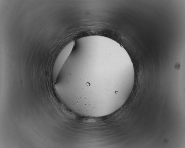 X0000115010129200911231236