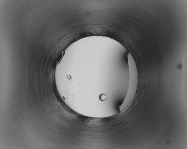 X0000115010132200911231235