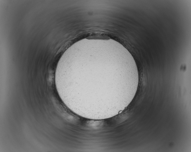 X0000115010135200911231235