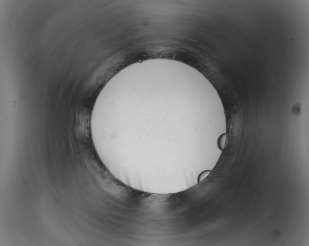 X0000115010138200911231235