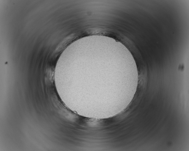 X0000115010142200911231235