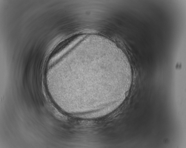 X0000115010145200911231234
