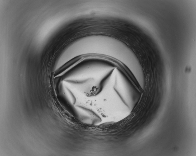 X0000115010146200911231235