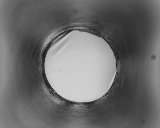 X0000115010150200911231235