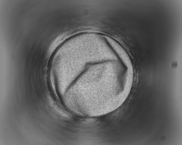 X0000115010151200911231235