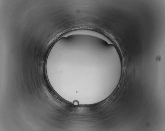 X0000115010154200911231235