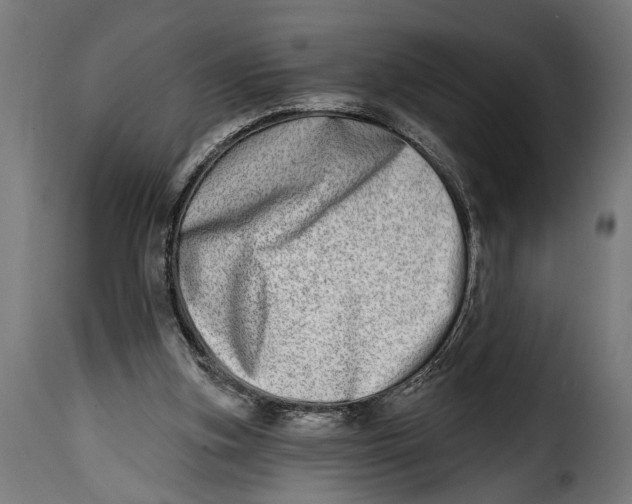 X0000115010155200911231235