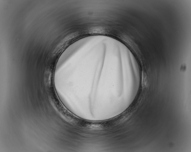 X0000115010157200911231235