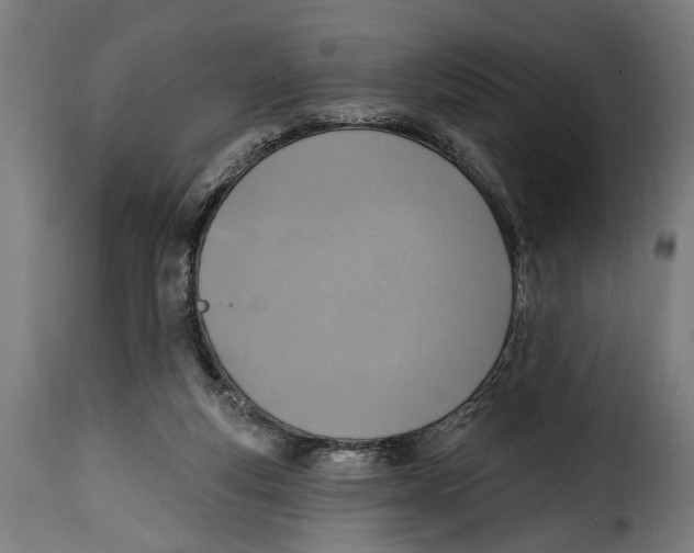 X0000115010163200911231235