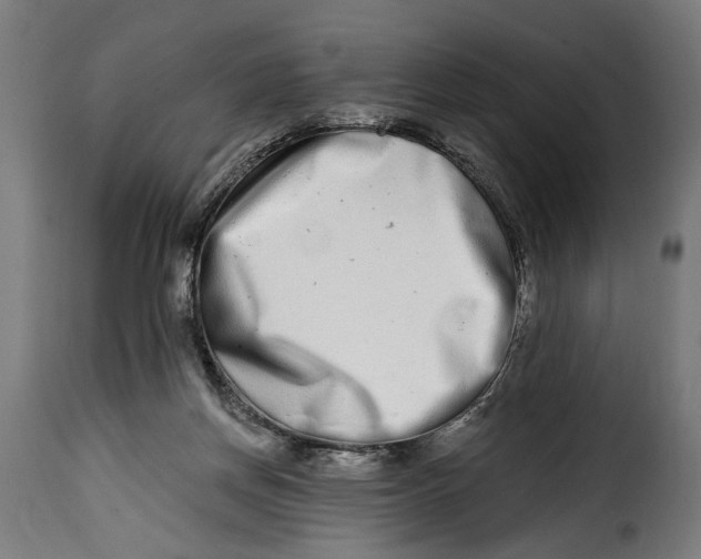 X0000115010166200911231235